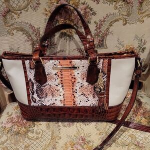 Snakeskin & Croc-Trim Satchel Tote in Brown and Cream
